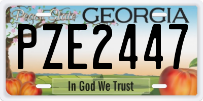 GA license plate PZE2447