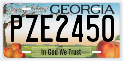 GA license plate PZE2450