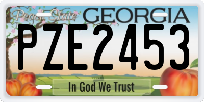 GA license plate PZE2453