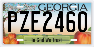 GA license plate PZE2460