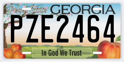 GA license plate PZE2464