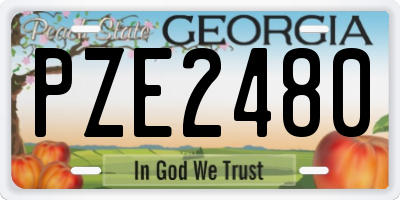 GA license plate PZE2480