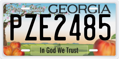 GA license plate PZE2485