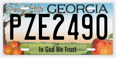 GA license plate PZE2490