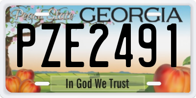GA license plate PZE2491