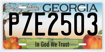 GA license plate PZE2503
