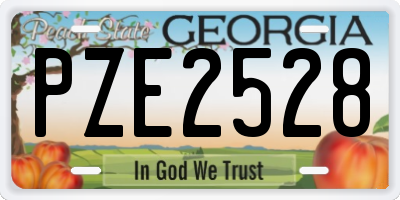 GA license plate PZE2528