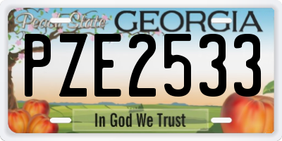 GA license plate PZE2533