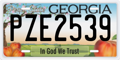 GA license plate PZE2539