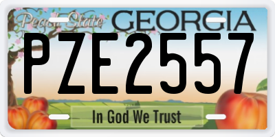 GA license plate PZE2557