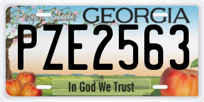 GA license plate PZE2563
