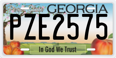 GA license plate PZE2575