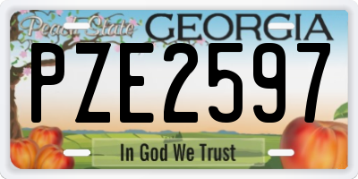 GA license plate PZE2597