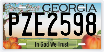 GA license plate PZE2598