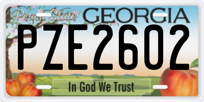 GA license plate PZE2602