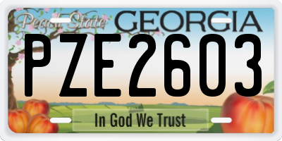 GA license plate PZE2603