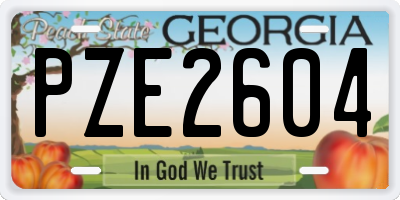 GA license plate PZE2604