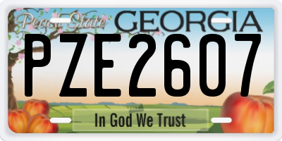 GA license plate PZE2607