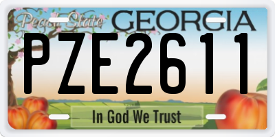 GA license plate PZE2611