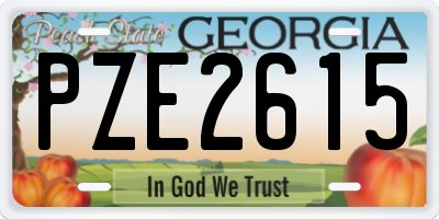 GA license plate PZE2615