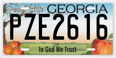 GA license plate PZE2616