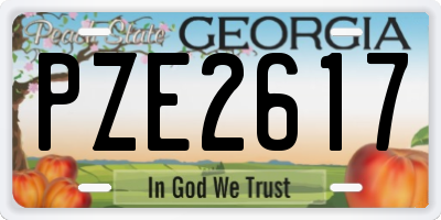 GA license plate PZE2617