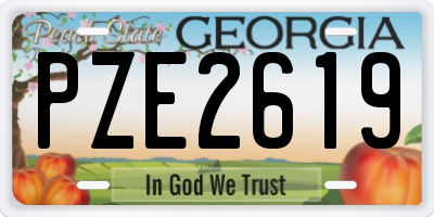 GA license plate PZE2619