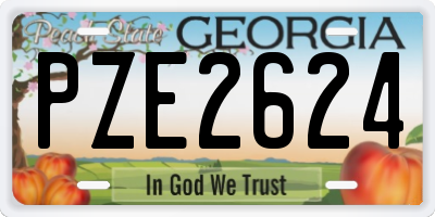 GA license plate PZE2624