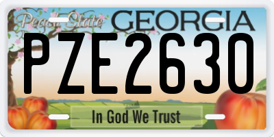 GA license plate PZE2630