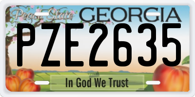GA license plate PZE2635