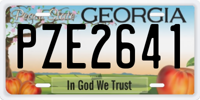GA license plate PZE2641