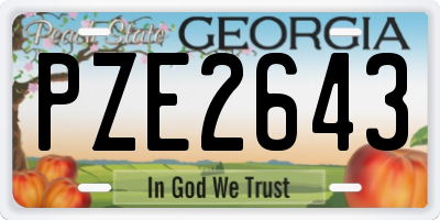 GA license plate PZE2643