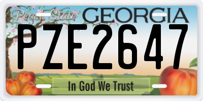 GA license plate PZE2647