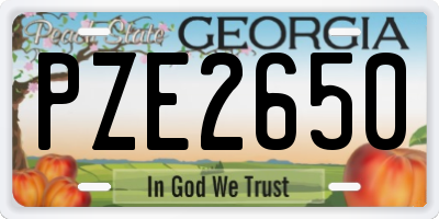 GA license plate PZE2650