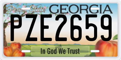 GA license plate PZE2659