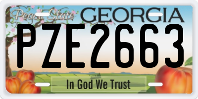 GA license plate PZE2663