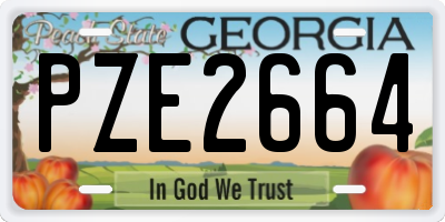 GA license plate PZE2664