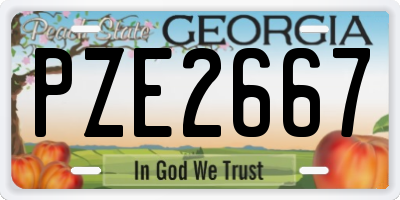 GA license plate PZE2667