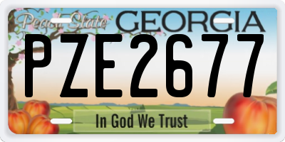 GA license plate PZE2677