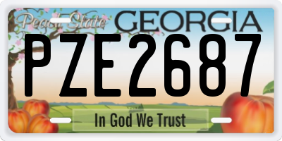 GA license plate PZE2687