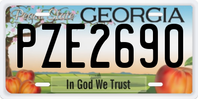 GA license plate PZE2690