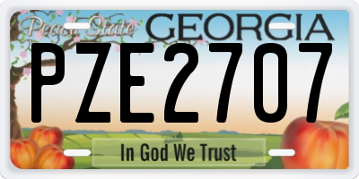 GA license plate PZE2707
