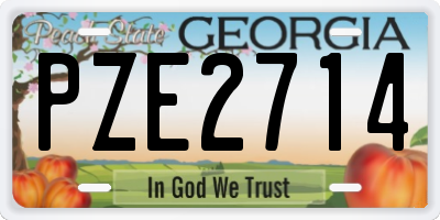 GA license plate PZE2714
