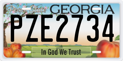 GA license plate PZE2734