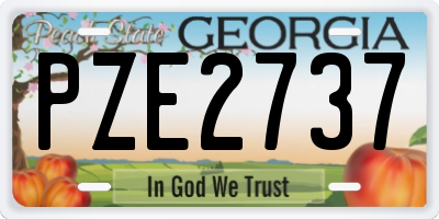 GA license plate PZE2737