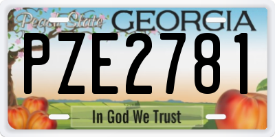 GA license plate PZE2781