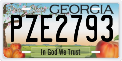 GA license plate PZE2793
