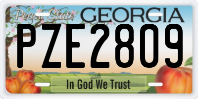 GA license plate PZE2809