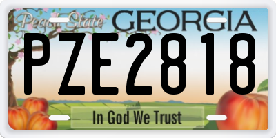 GA license plate PZE2818