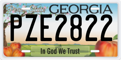 GA license plate PZE2822